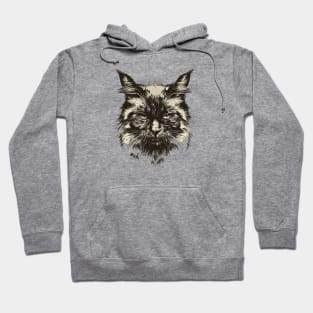 Hand drawn cat judging you. meh. Hoodie